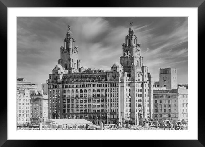 Royal Liver Building Liverpool Framed Mounted Print by Phil Longfoot