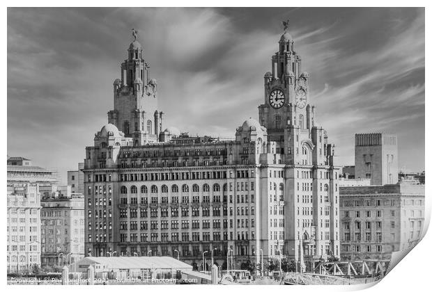 Royal Liver Building Liverpool Print by Phil Longfoot