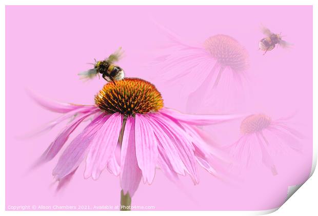 Busy Bee Print by Alison Chambers