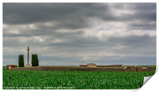 The Somme Print by Adrian Rowley