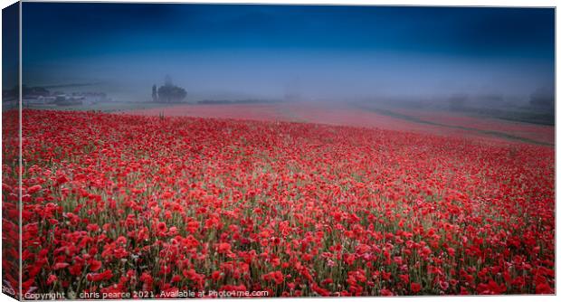 Poppies in the mist  Canvas Print by chris pearce