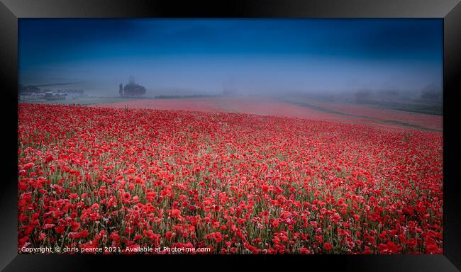 Poppies in the mist  Framed Print by chris pearce