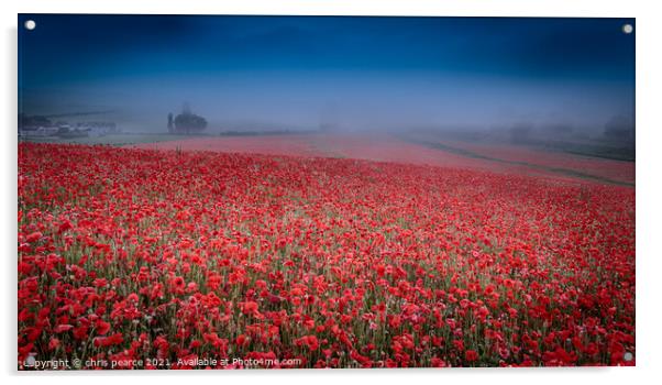 Poppies in the mist  Acrylic by chris pearce