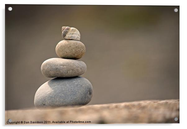Pebbles and shell balance Acrylic by Dan Davidson