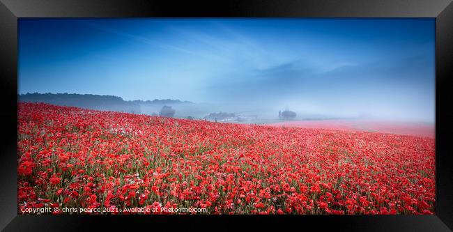 misty poppies  Framed Print by chris pearce