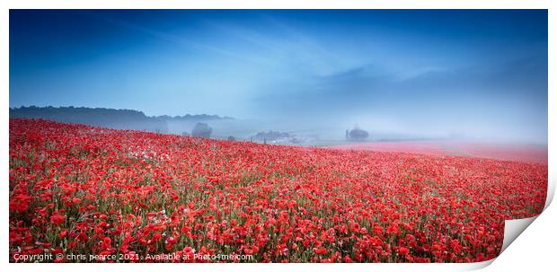 misty poppies  Print by chris pearce
