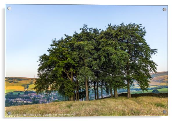 Twenty Trees, Hayfield Acrylic by Jim Monk