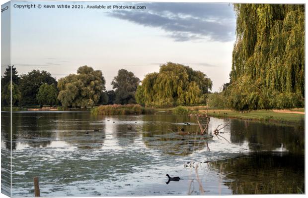 Heron pond late summer evening Canvas Print by Kevin White