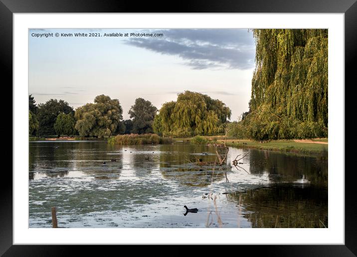 Heron pond late summer evening Framed Mounted Print by Kevin White