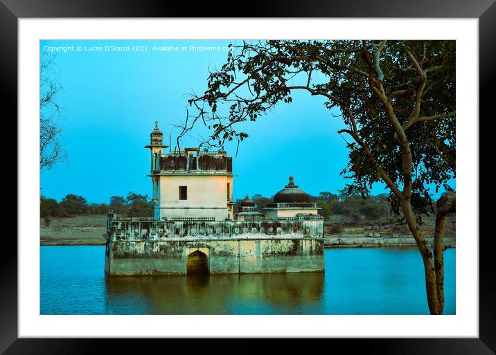 Rani Padmini palace inside Chittorgarh fort in Rajasthan, India Framed Mounted Print by Lucas D'Souza