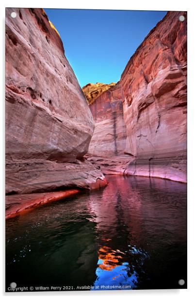 Pink Antelope Slot Canyon Reflection Lake Powell Arizona Acrylic by William Perry