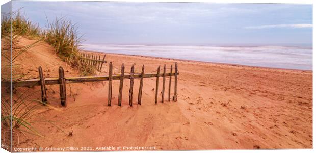 Sand and Fence Canvas Print by Anthony Dillon