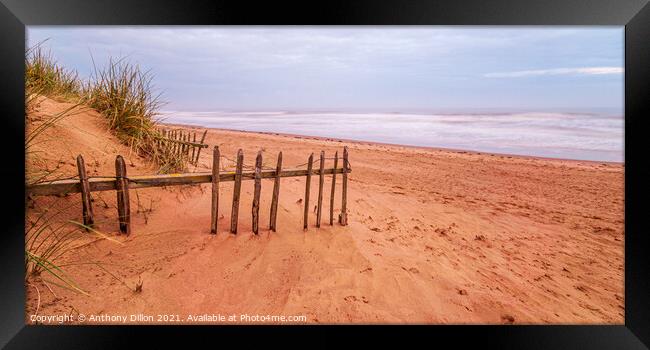 Sand and Fence Framed Print by Anthony Dillon