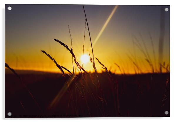 Dartmoor Sunset Acrylic by Mattie Evans