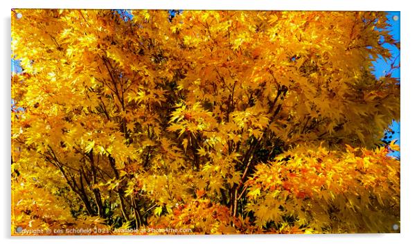 Autumn Tree  Acrylic by Les Schofield