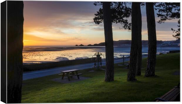 A Winter sunrise in Swansea Canvas Print by Leighton Collins