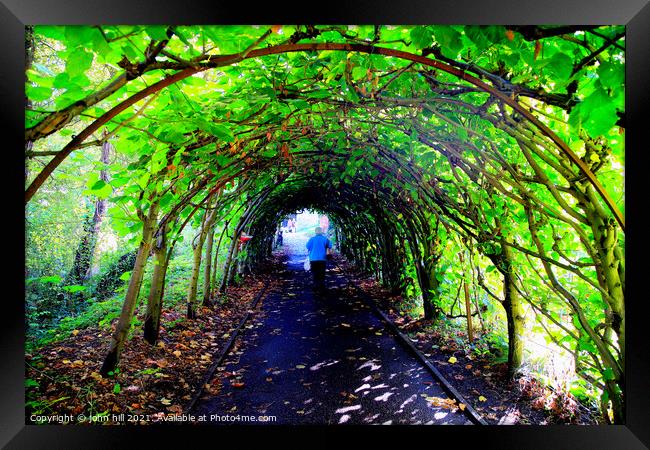 Tree Tunnel. Framed Print by john hill