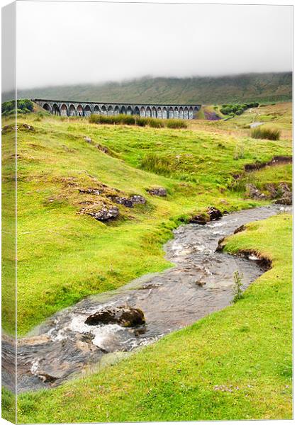 Stream up to the Ribblehead Viaduct Canvas Print by Stephen Mole