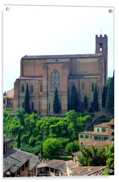 Church of San Domenico in Siena Tuscany Italy Acrylic by Andy Evans Photos