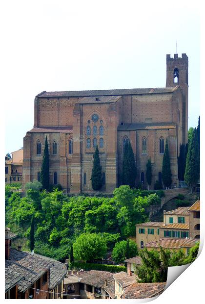 Church of San Domenico in Siena Tuscany Italy Print by Andy Evans Photos