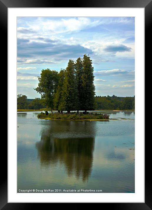 Trees Framed Mounted Print by Doug McRae