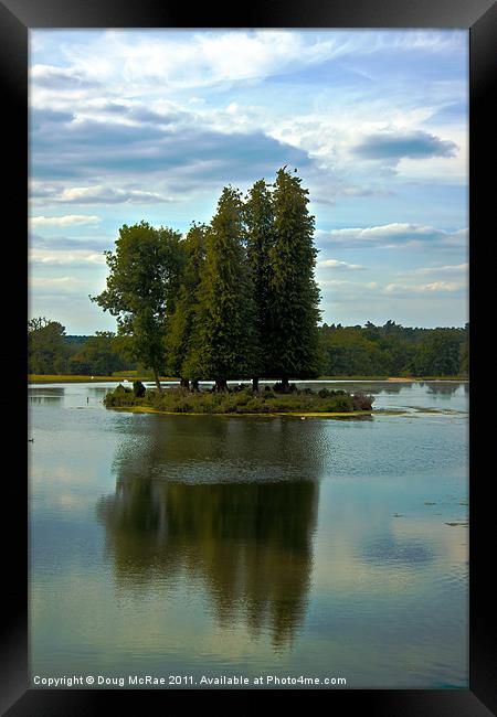 Trees Framed Print by Doug McRae