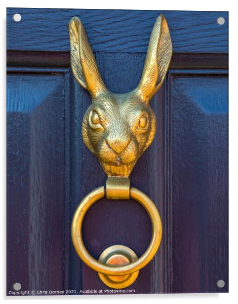 Hare Door Knocker Acrylic by Chris Dorney