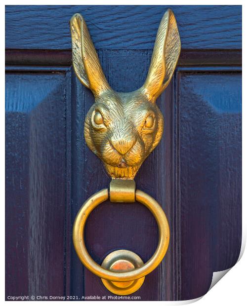 Hare Door Knocker Print by Chris Dorney