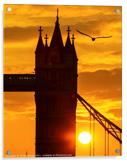 Tower Bridge Sunset in London, UK Acrylic by Chris Dorney
