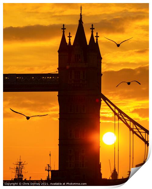 Seagulls and Tower Bridge at Dusk Print by Chris Dorney