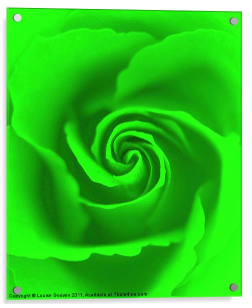 Lime Rose Acrylic by Louise Godwin
