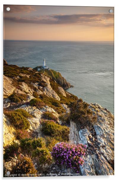 South Stack Lighthouse Acrylic by Rick Bowden