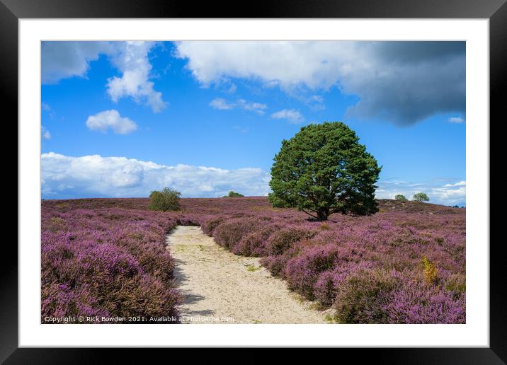 Roydon Common Framed Mounted Print by Rick Bowden