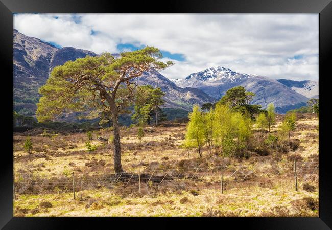 Glen affric and the Kintail way Framed Print by Peter Stuart