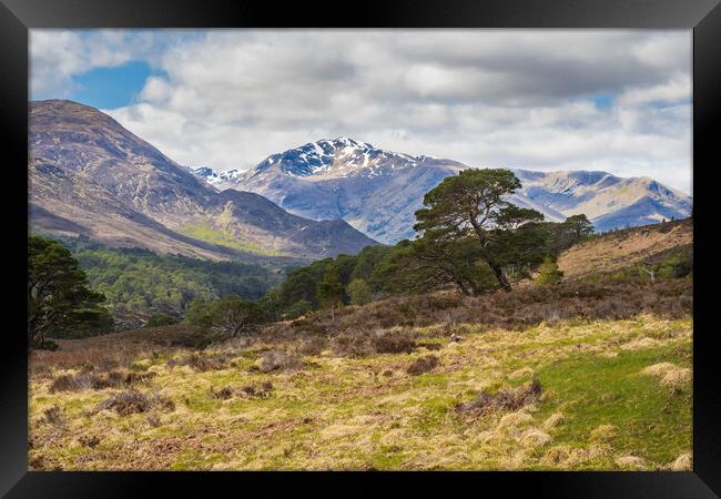 Glen affric and the Kintail way Framed Print by Peter Stuart