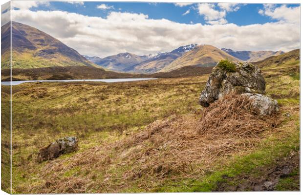 Glen affric and the Kintail way Canvas Print by Peter Stuart