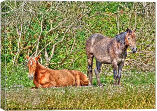 New Forest Ponies Canvas Print by Louise Godwin