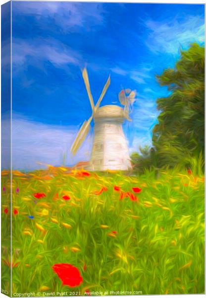 Windmill Meadow Art Canvas Print by David Pyatt