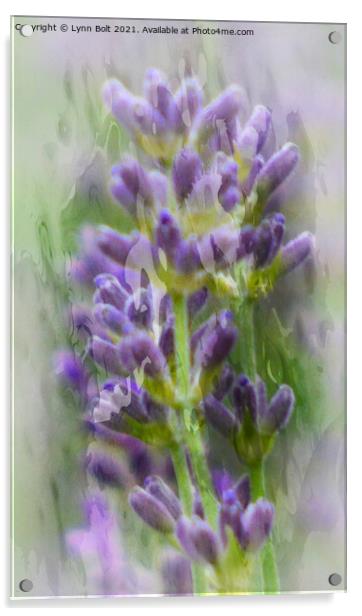 Lavender Acrylic by Lynn Bolt
