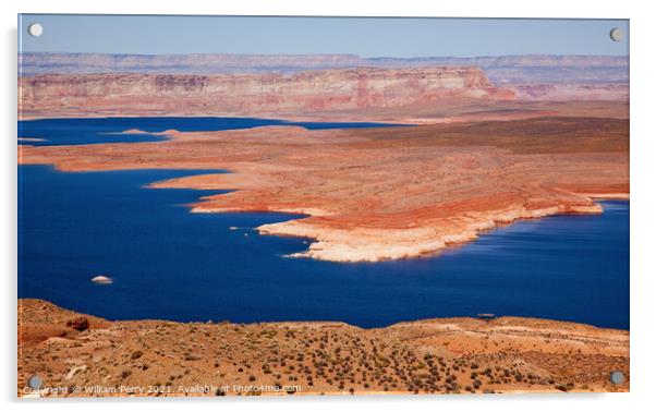 Wahweap Bay Red Rocks Lake Powell Glen Canyon Recreation Area Ar Acrylic by William Perry
