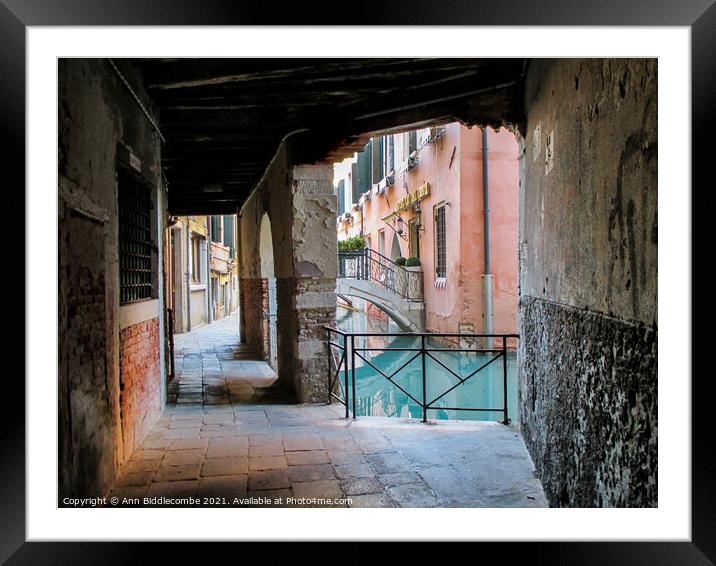 A street in Venice Framed Mounted Print by Ann Biddlecombe