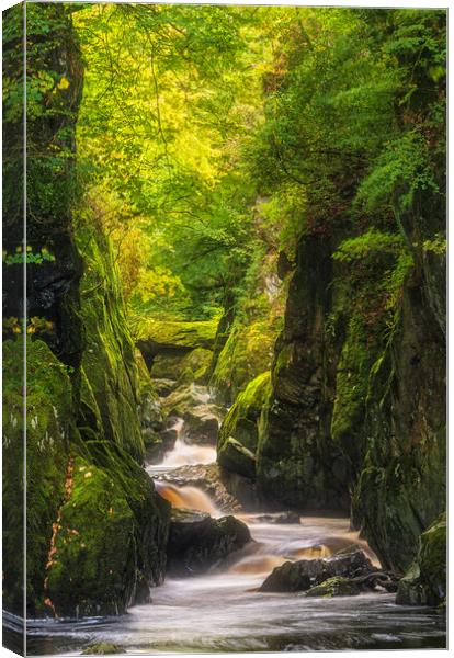 Fairy Falls - Betws y Coed Canvas Print by Rory Trappe