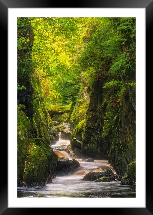 Fairy Falls - Betws y Coed Framed Mounted Print by Rory Trappe