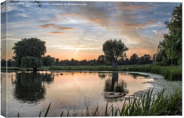 Serene sunsetting over Bushy Park Canvas Print by Kevin White
