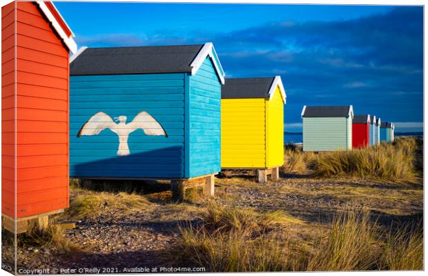 Beach Huts at Findhorn Canvas Print by Peter O'Reilly
