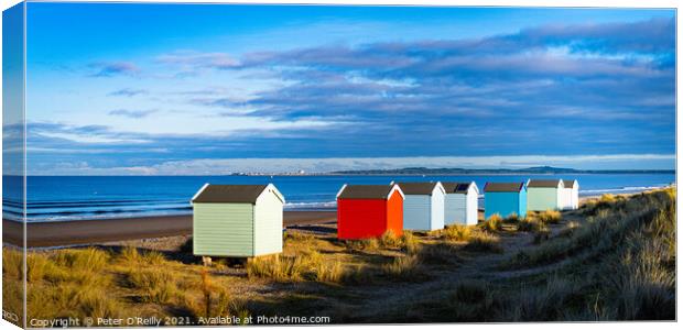 Beach Huts at Findhorn Canvas Print by Peter O'Reilly