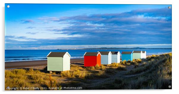 Beach Huts at Findhorn Acrylic by Peter O'Reilly