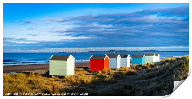 Beach Huts at Findhorn Print by Peter O'Reilly