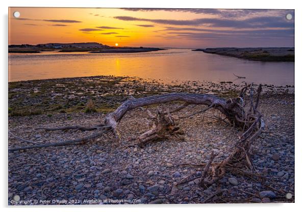 River Spey Estuary Sunset Acrylic by Peter O'Reilly