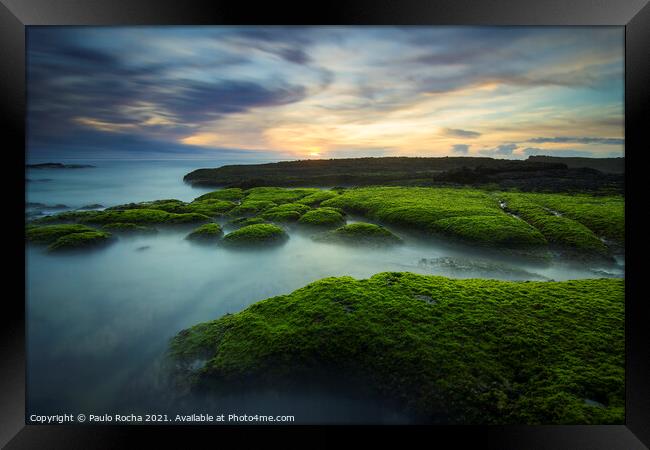 Green moss covered rocks in Magoito beach at sunset - Sintra, Portugal Framed Print by Paulo Rocha